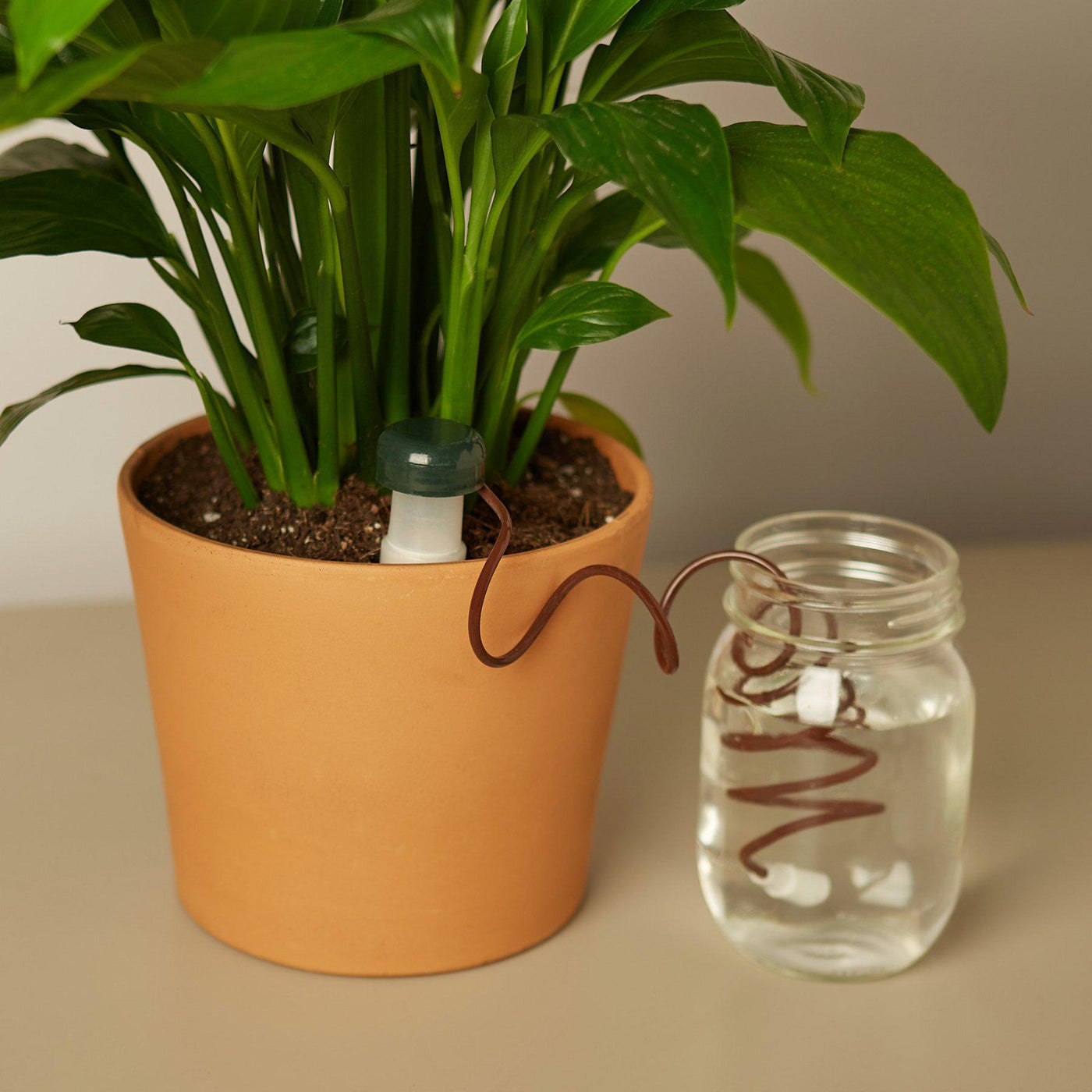 Automatic Plant Waterers by House Plant Shop