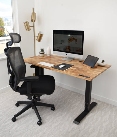 TerraDesk | Eco-Friendly Height-Adjustable Electric Standing Desk by EFFYDESK